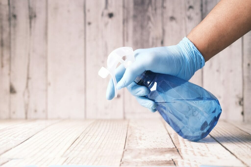  professional cleaning services in Ramsgate