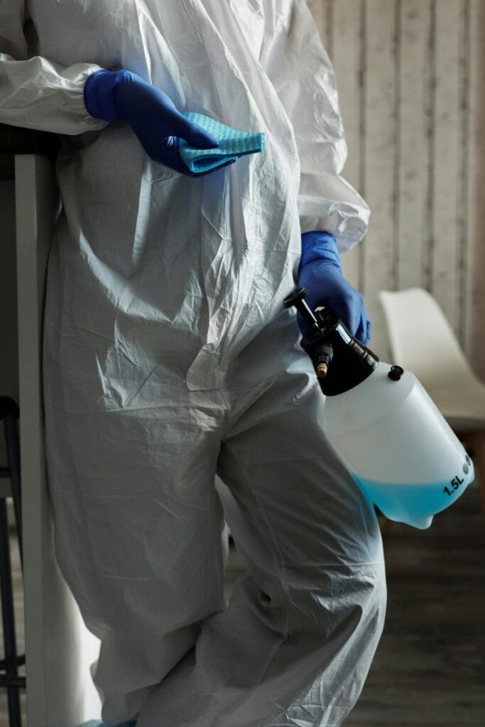 mould removal services in Chatham