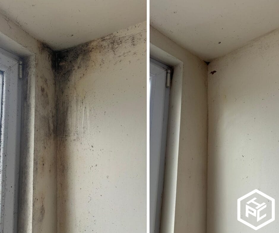 Mould Removal in Cobham