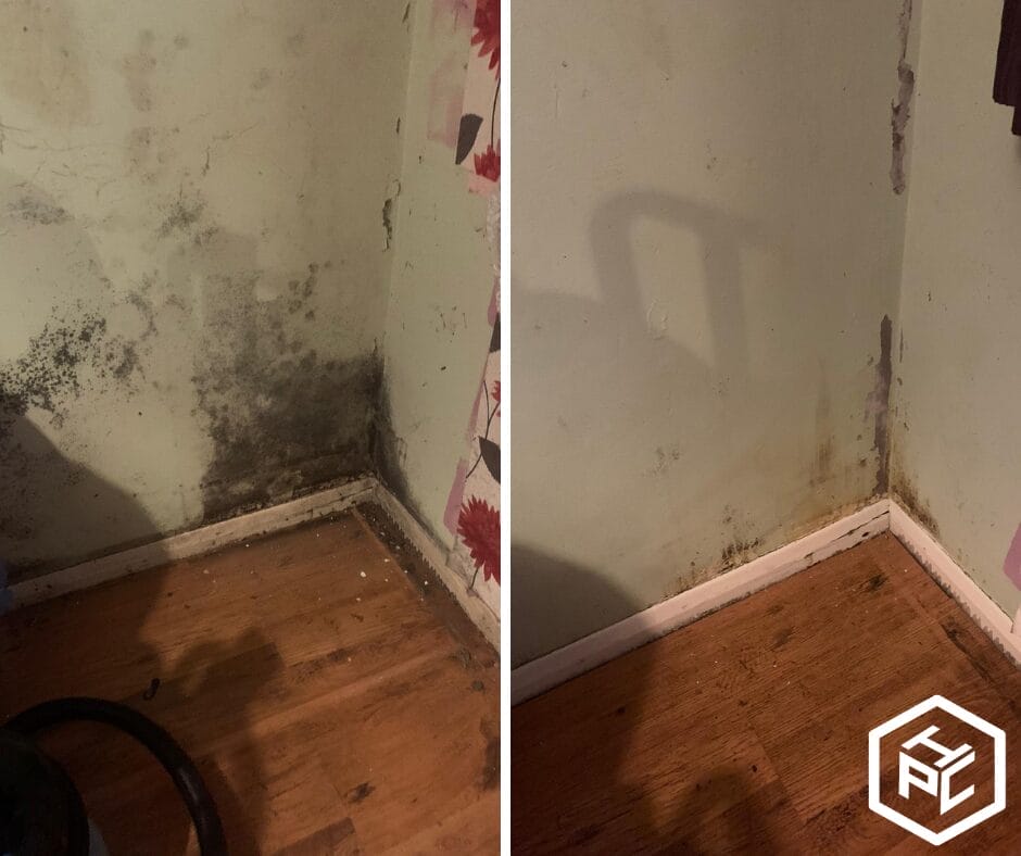 mould removal in Ramsgate