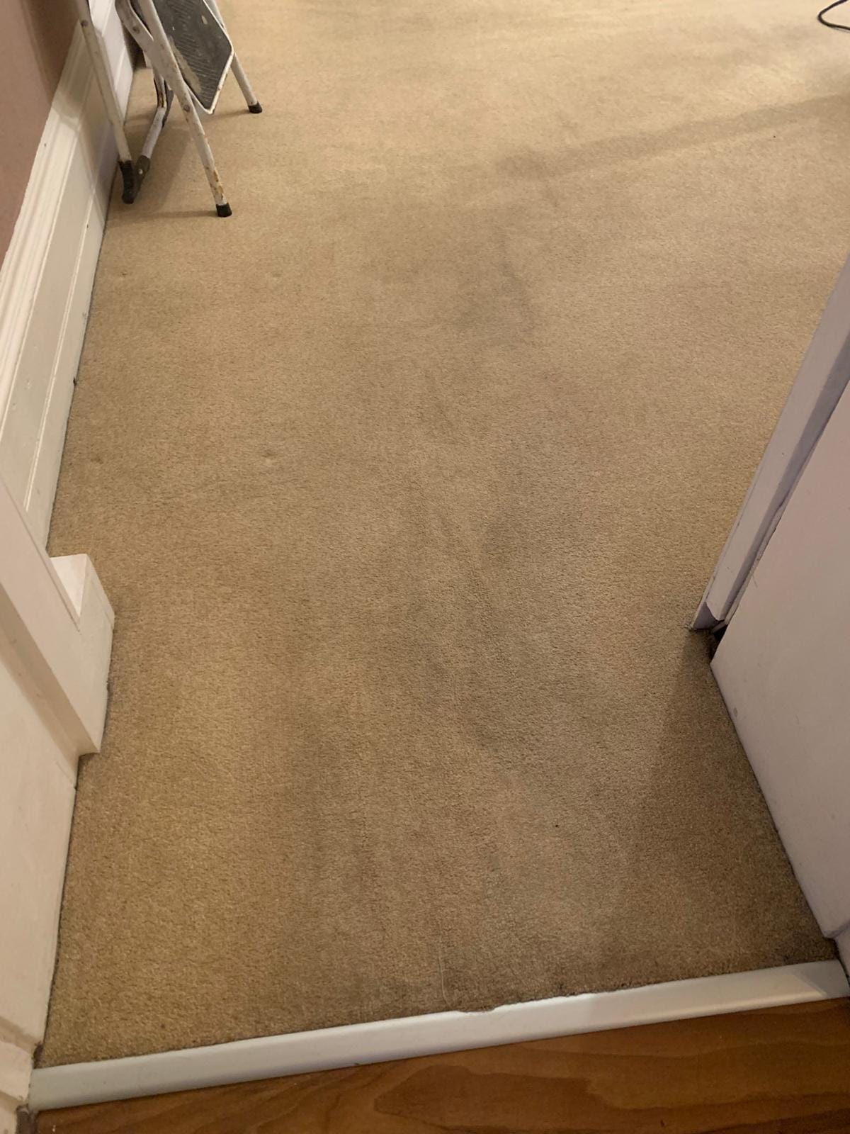 Carpet Cleaning Specialists