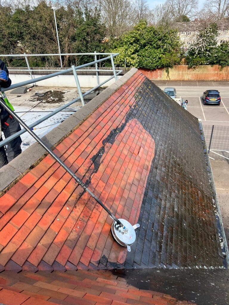 Roof cleaning near me