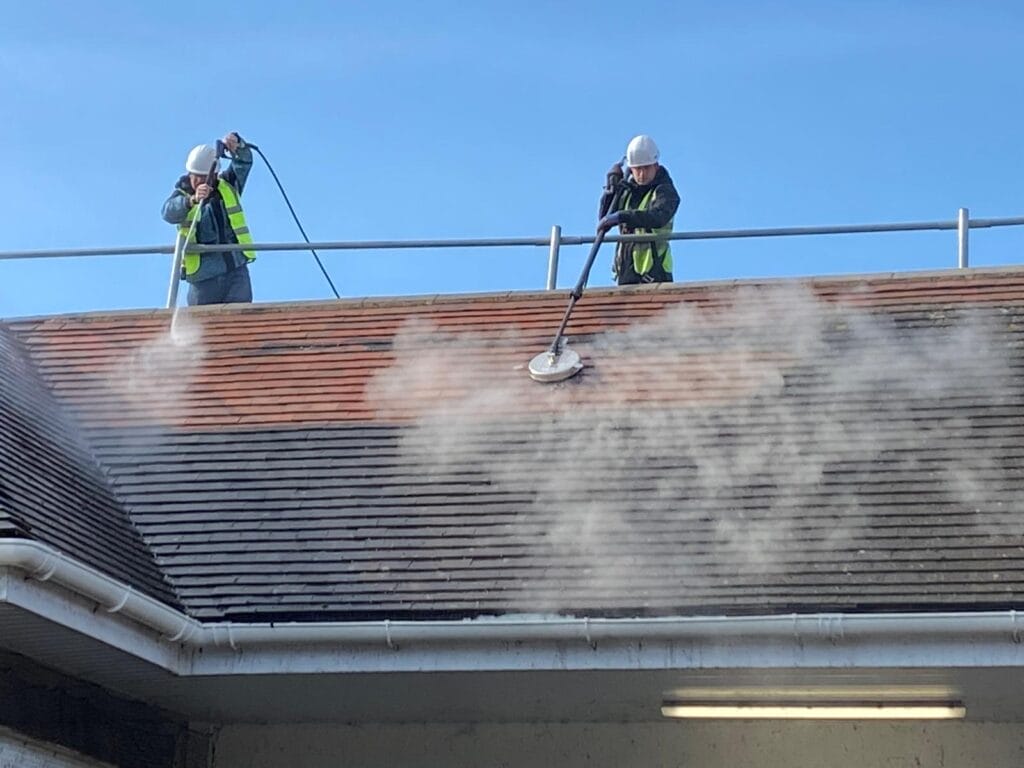Roof cleaning
