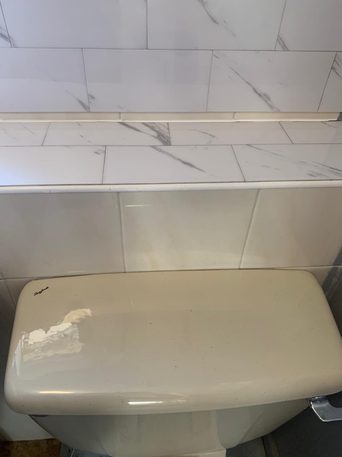 Toilet Cleaning Services Near Me