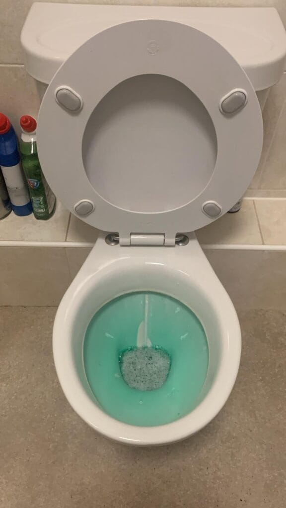 Professional Toilet Cleaning in Kent